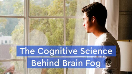 brain fog science