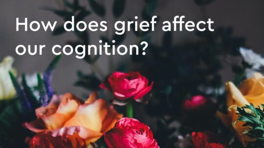 grief affects cognition