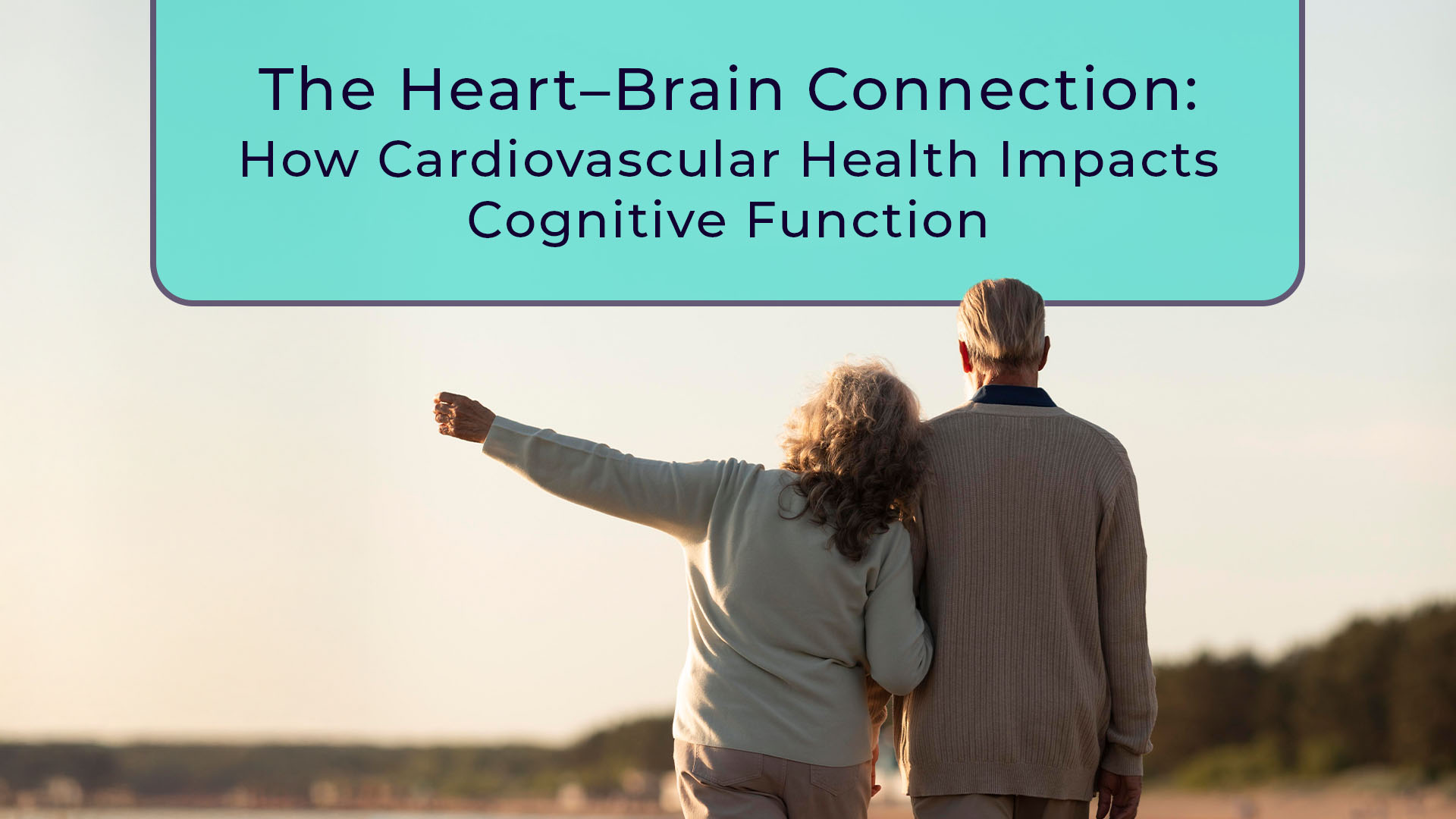 brain-heart-connection