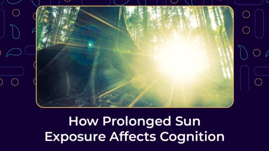sun-exposure-cognition