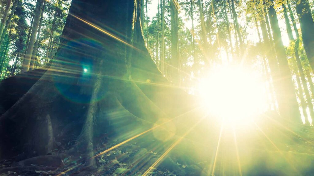 sun-exposure-cognition2 sun-exposure-cognition2